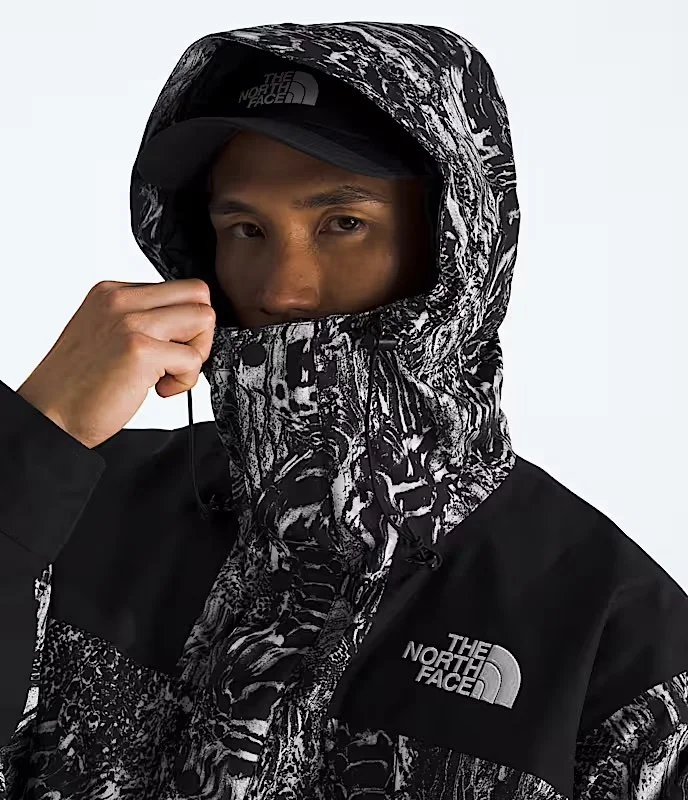 Timothée Chalamet Spotted in The North Face Men's GORE-TEX